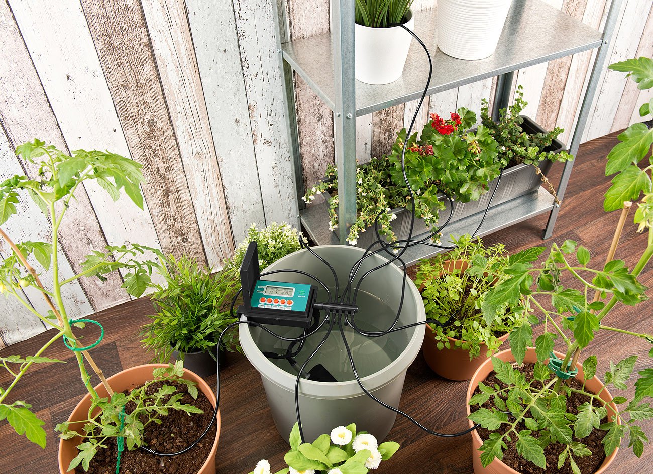 Das beste Bewässerungssystem für Zimmerpflanzen - Schlauer Wohnen